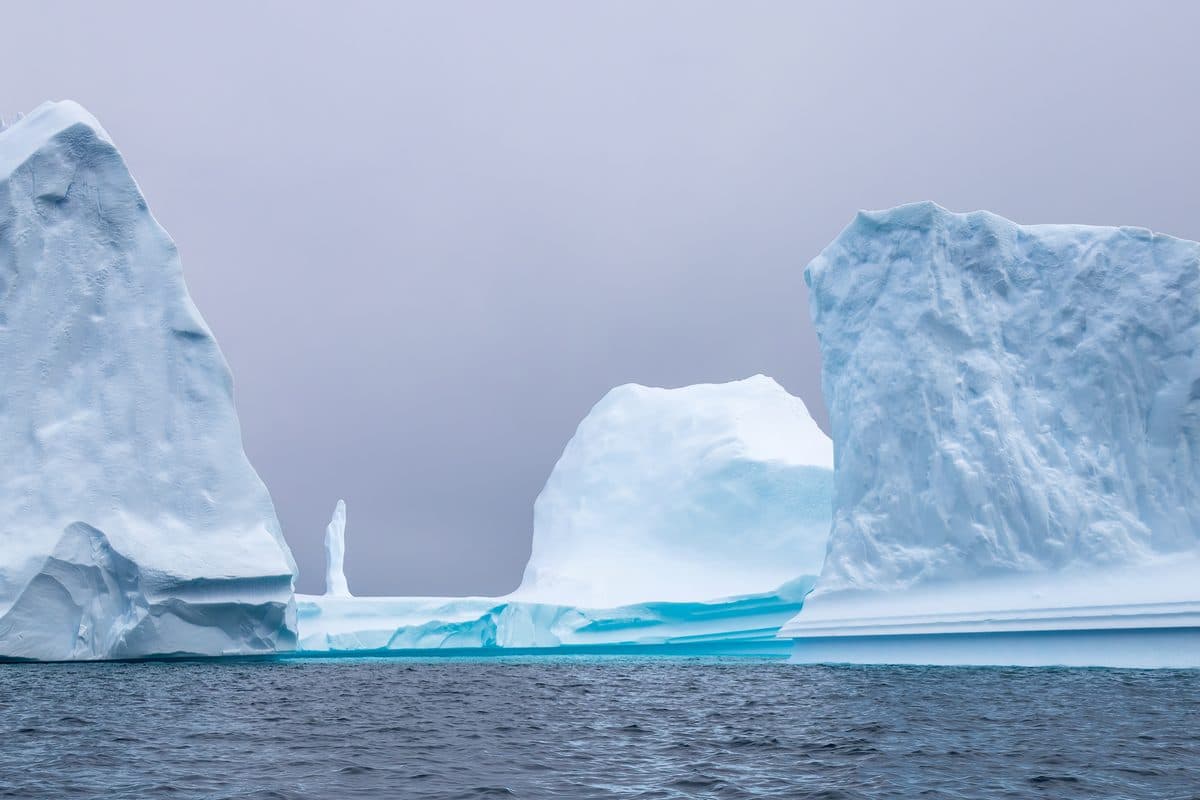 A sculpted iceberg floating in calm water
